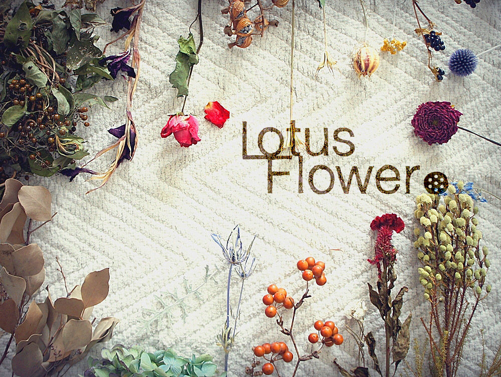 LotusFlower＆Lupinus